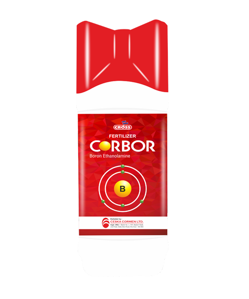 CORBOR