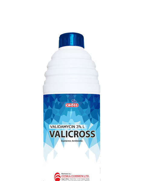 VALICROSS